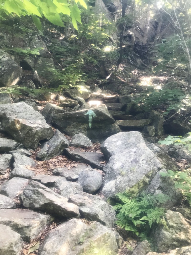 2018 Running Review
