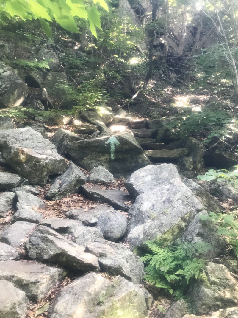 2018 Running Review