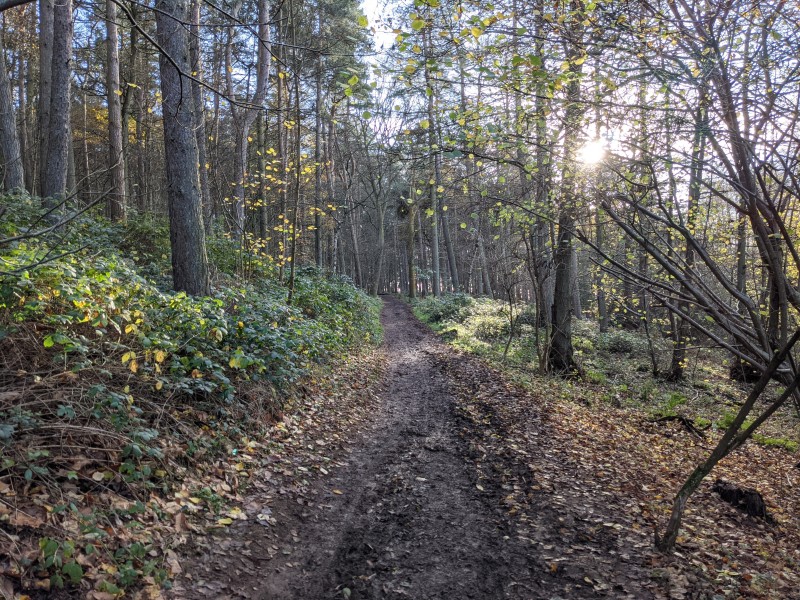 2020 Running Review