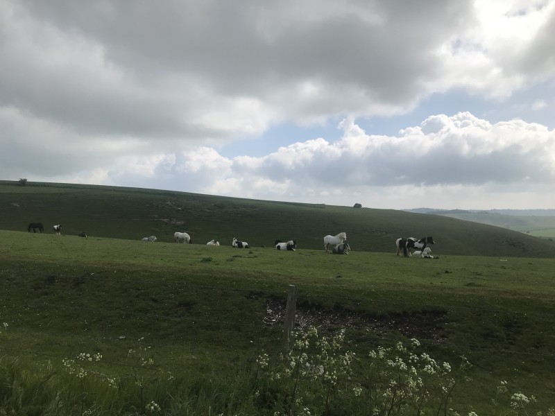 2019 Running Review