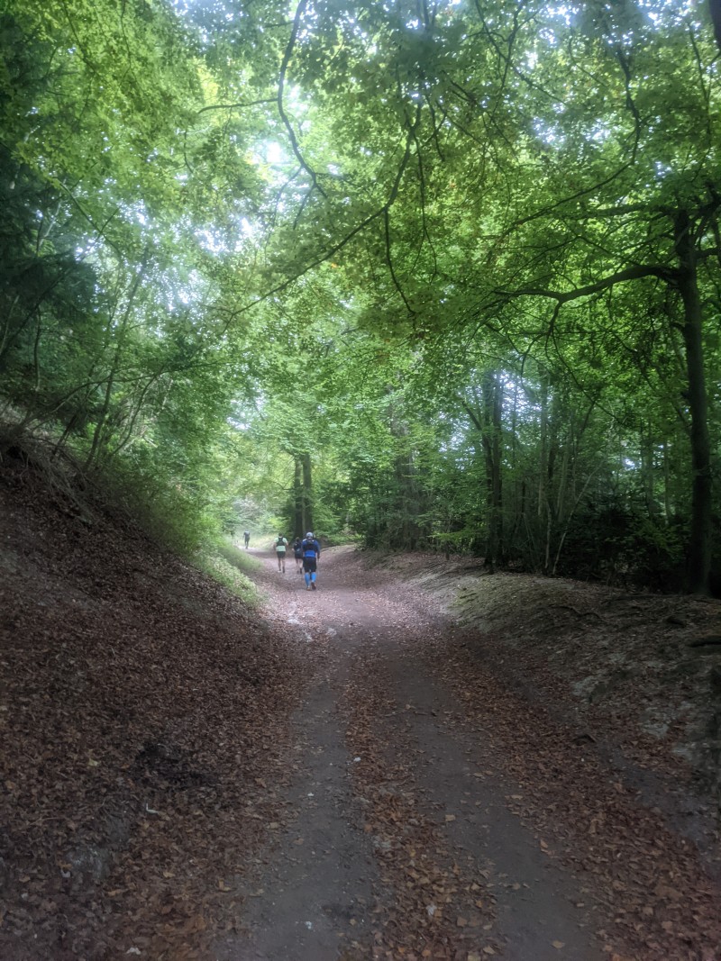 Belated 2021 Running Report